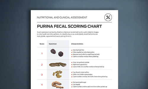 purina fecal scoring chart