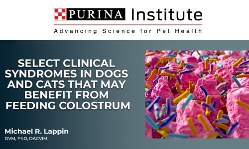 Select clinical syndromes in dogs and cats that may benefit from feeding colostrum