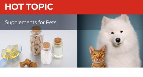 Supplements for Dogs and Cats