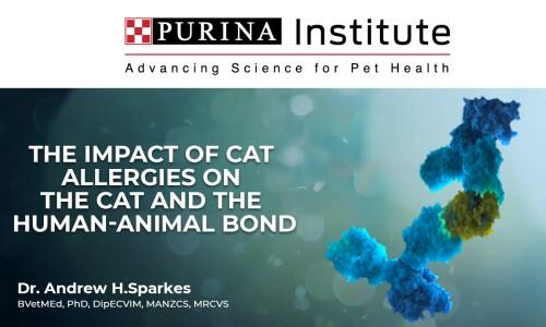The impact of cat allergies on the cat and the human-animal bond
