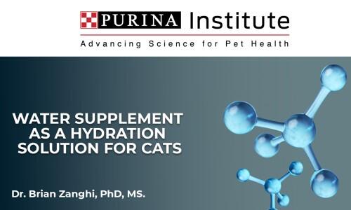 Water Supplement as a Hydration Solution for Cats