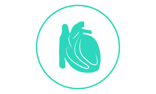 teal canine heart icon