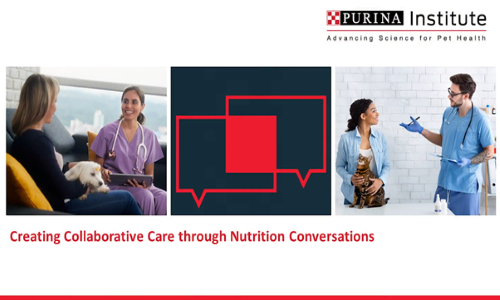 creating collaborative care through nutrition conversations