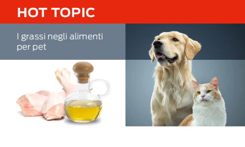 hot topics fats in pet food 