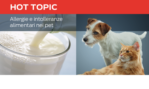Hot topic food allergies and food intolerances in pets
