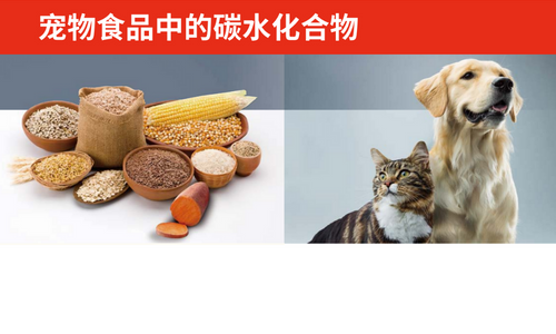 Hot topic carbohydrates in pet food