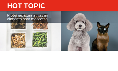 Hot Topic Alternative Proteins In Pet Food