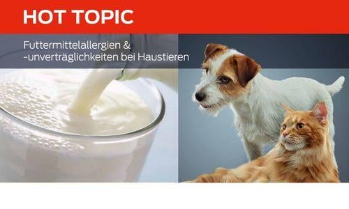 Futtermittelallergien & unverträglichkeiten bei Haustieren hot topic