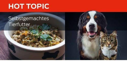 Selbstgemachtes Tierfutter hot topic