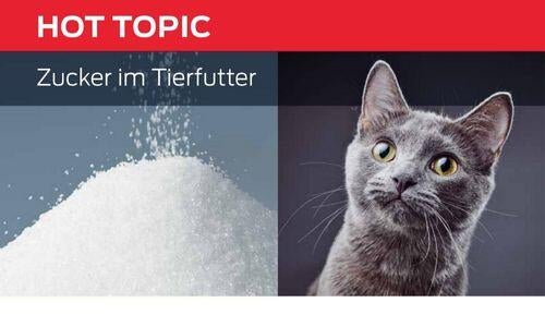 Zucker im Tierfutter hot topic