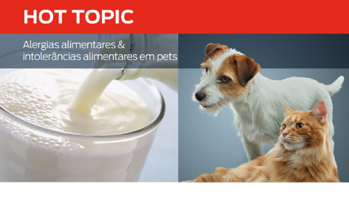 food allergies and food intolerances in pets