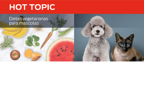 Dietas vegetarianas para mascotas