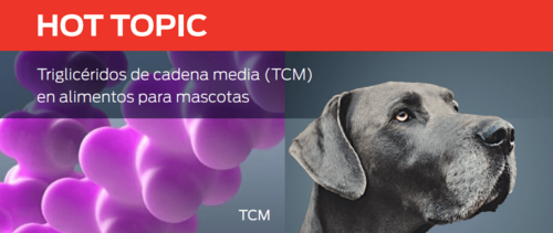 Triglicéridos de cadena media (TCM) en alimentos para mascotas