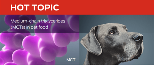 Medium-chain triglycerides (MCTs) in pet food