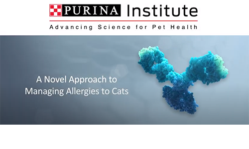 a novel approach to managing allergies to cats