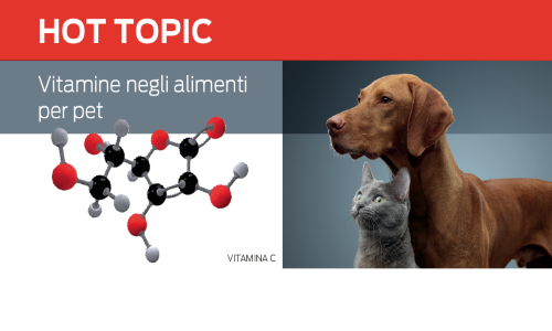 Hot topic Vitamins in pet food