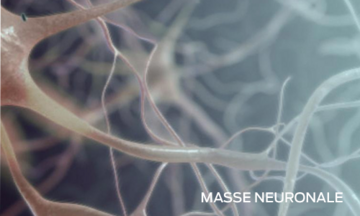 neuron mass