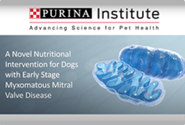 novel nutritional intervention for dogs