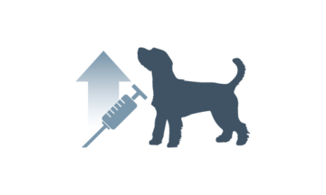 ícone de injeção canina