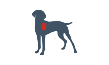 icona cane con cuore evidenziato