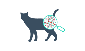 cat magnifying icon