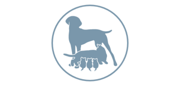 dog standing and cat nursing kittens icon