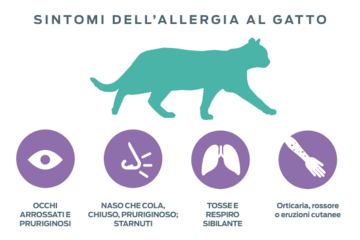 symptoms-of-allergies-to-catshopi