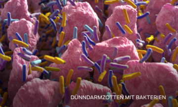 Grundlagen des Mikrobioms
