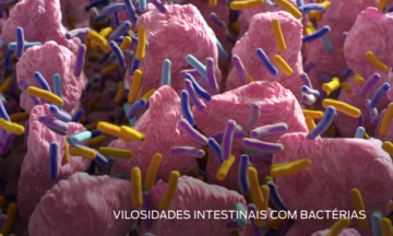 vilosidades intestinais com bactérias