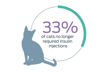 33% of cats no longer required insulin injections