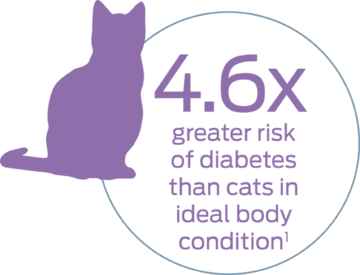 4.6x greater risk of diabetes than cats in ideal body conditions