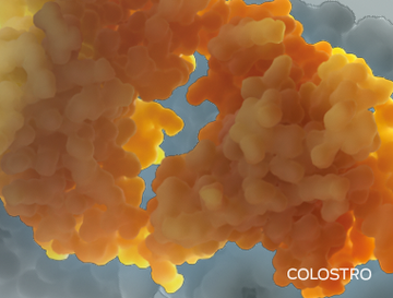 immunity-and-colostrum