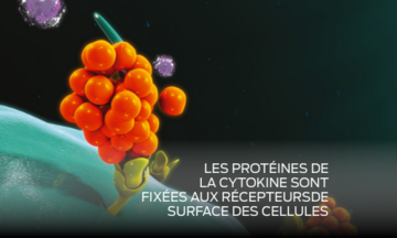 purina-institute-protéomique-cytokines-protéines
