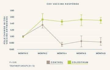 cdv-vaccine-response