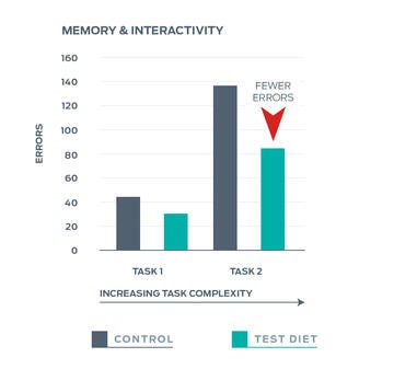 memory-and-interactivity