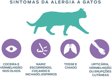 symptoms of allergies to cat