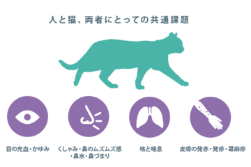 symptoms of allergies to cats 