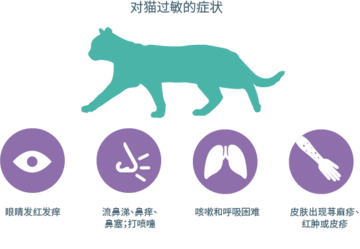 neutralizing-allergens-symptoms-of-allergies-to-cats