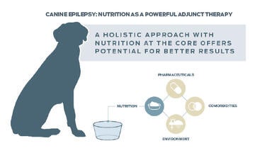 purina-institute-canine-epilepsy
