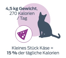 4,5 kg BWt 270 Kalorien/Tag. Ein kleines Stück Käse = 15% der täglichen Kalorien.