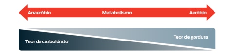 Uma escala de metabolismo, de anaeróbico a aeróbico. Quanto mais anaeróbico seu cão for, mais conteúdo de carboidratos ele queimará; quanto mais aeróbico, mais teor de gordura eles vão queimar. O ponto médio deste gráfico é uma divisão 50/50.