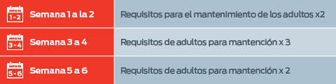 Requisitos de energía de la perra lactante