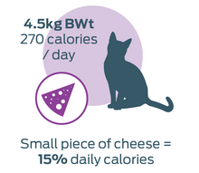 small piece of cheese = 15% daily calories