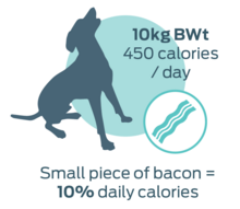 small piece of bacon = 10% daily calories