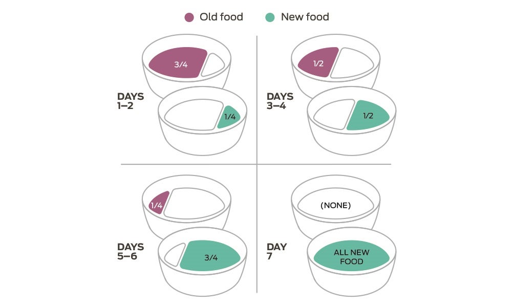 switching pet food graphic